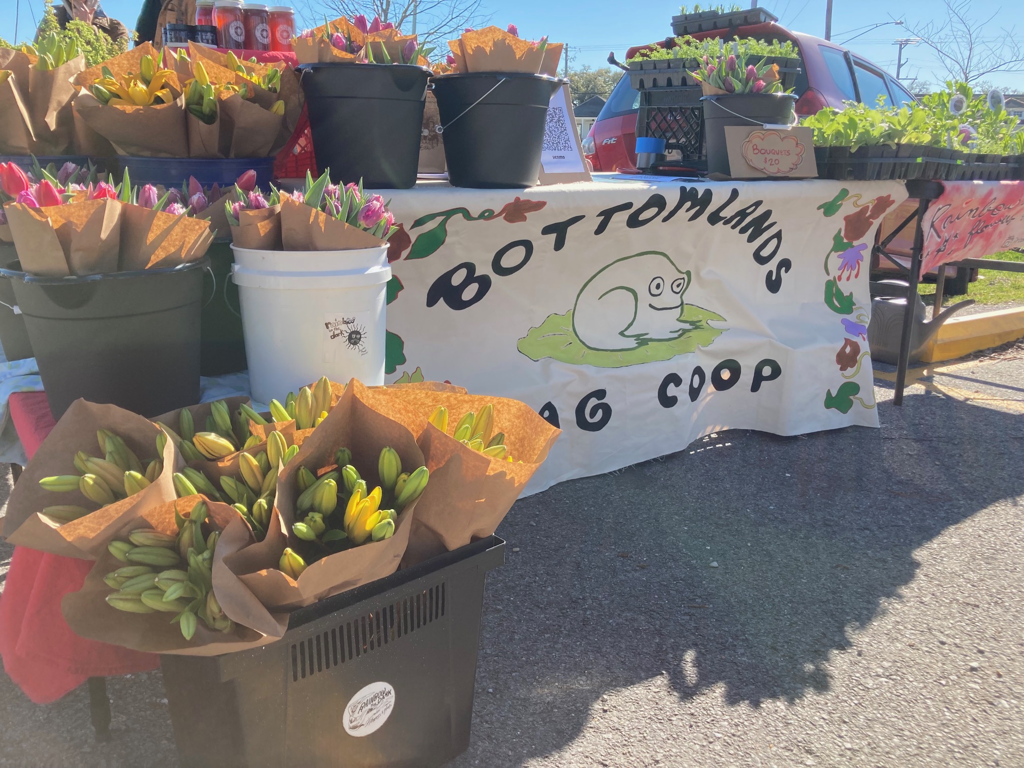 Bottomlands Co-op setup at a spring 2025 farmers market